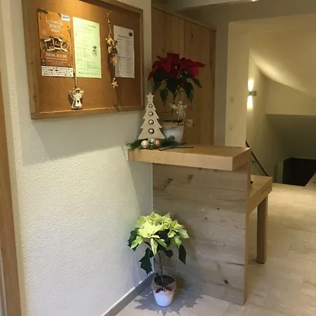 Beim Rohrer