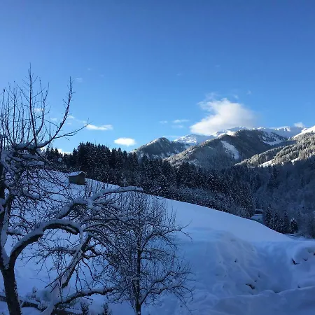 Beim Rohrer Апартаменти Кірхберг