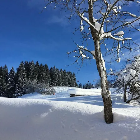 Beim Rohrer Кірхберг