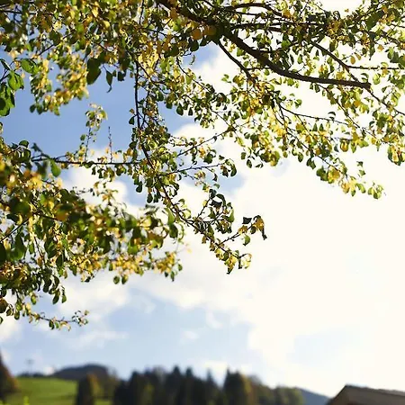 Beim Rohrer Kirchberg in Tirol