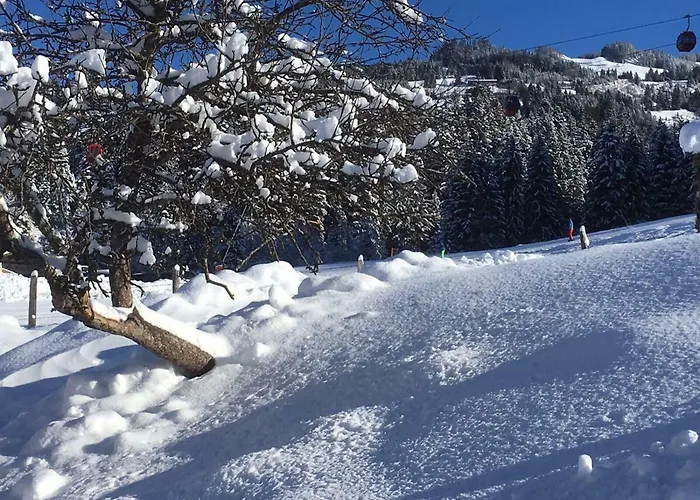 Appartement Beim Rohrer *