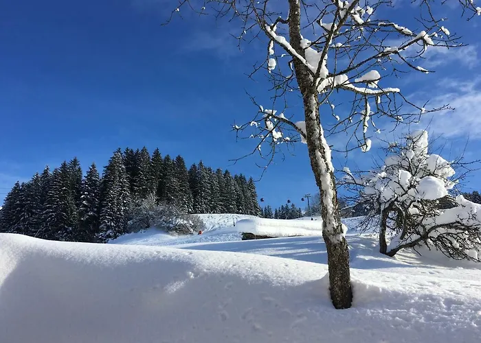 Beim Rohrer Kirchberg in Tirol
