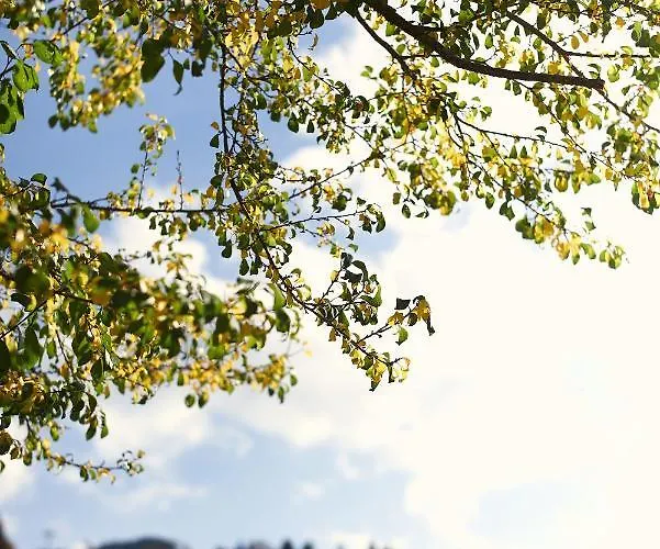 Beim Rohrer Kirchberg in Tirol