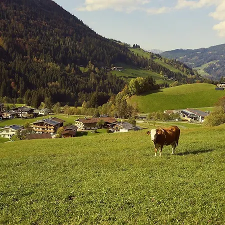 Beim Rohrer *