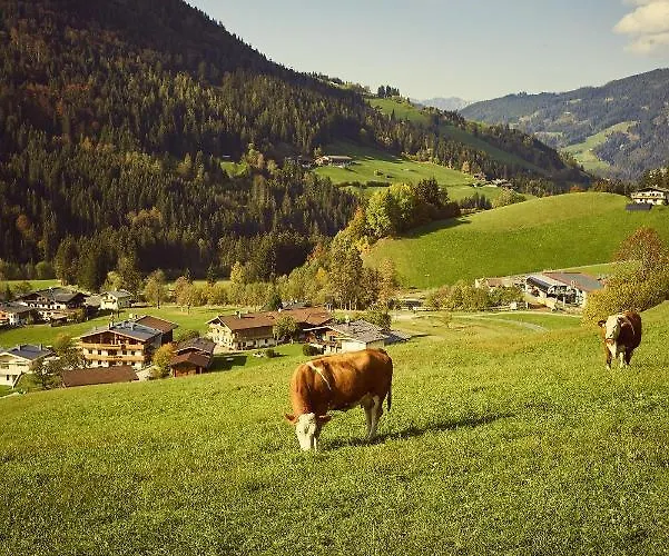 アパート Beim Rohrer